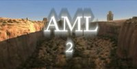 AML2.jpg