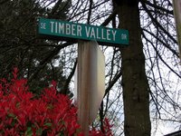 Timbervalley.jpg
