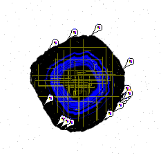 New accretion disk