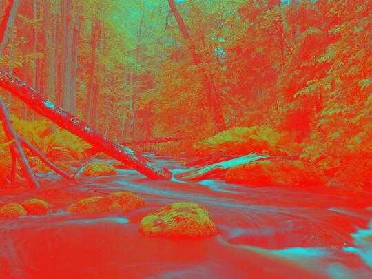 Forest Red Cyan Boring