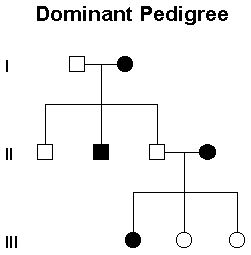 PEDIGREE CHART