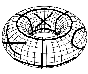 Tic Tac Torus