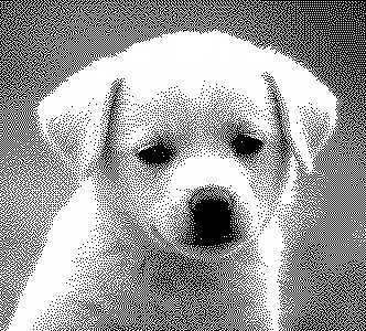 OPs dithered picture of puppy