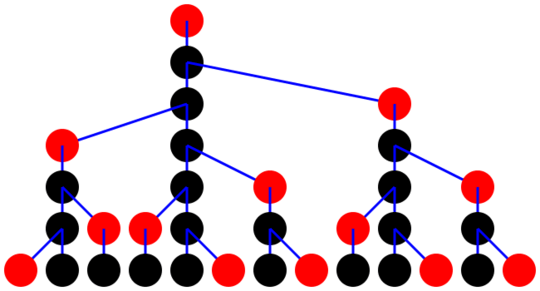 The Fibonacci network after 6 generations