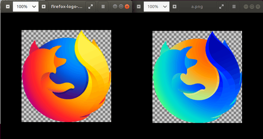 Firefox Logo Inverted