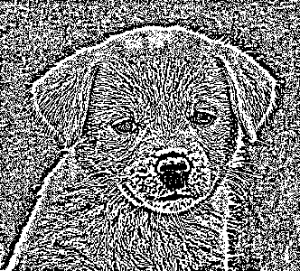 Pure random dithering