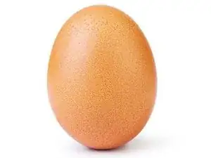 Regular Egg