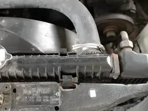 Radiator Hose