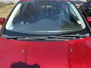 Windshield Wipers