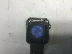 Install Series 2 Display on a Series 3 with Apple Pay