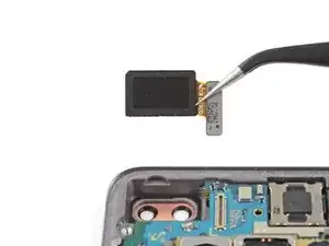 Samsung Galaxy S10+ Front-Facing Camera Module Replacement