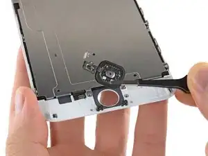 Home Button Assembly