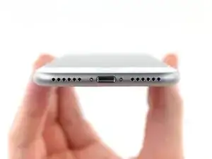 iPhone 8 Pentalobe Screws Replacement