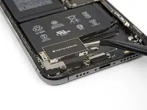 iPhone XS Max Taptic Engine Assembly Replacement