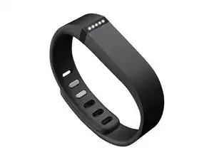 Fitbit Flex