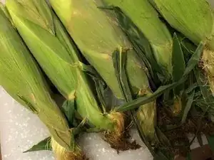 How to save fresh corn