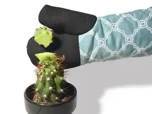 How to Mend a Cactus