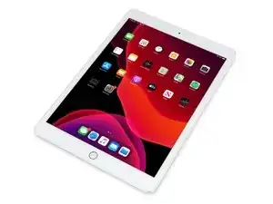 iPad 7 LTE