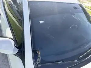 Windshield Seal