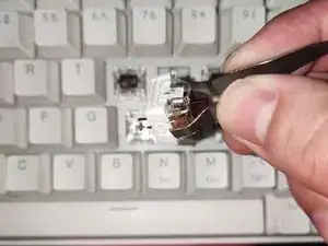 Keyboard Switch