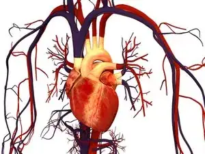 Brentwood Cardiac Monitor