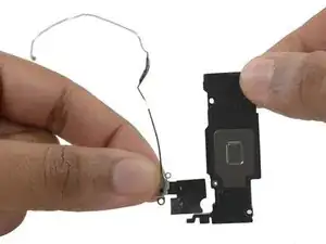 iPhone 6s Plus Wi-Fi Diversity Antenna Replacement