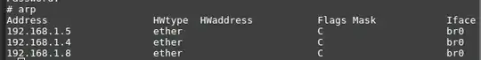 Example or arp command