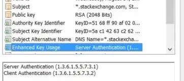 Extended Key Usage showing Client and Server