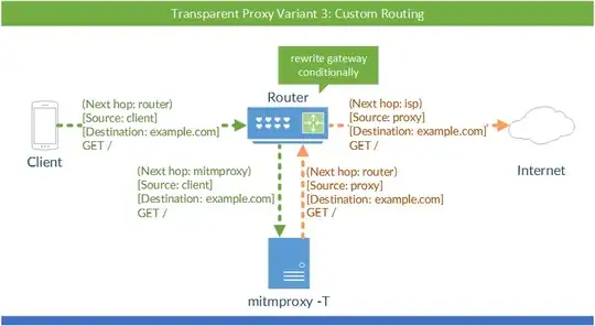 Transparent proxy setup.