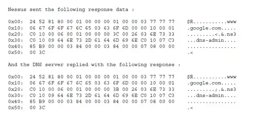 Nessus reports that the server replies to DNS responses