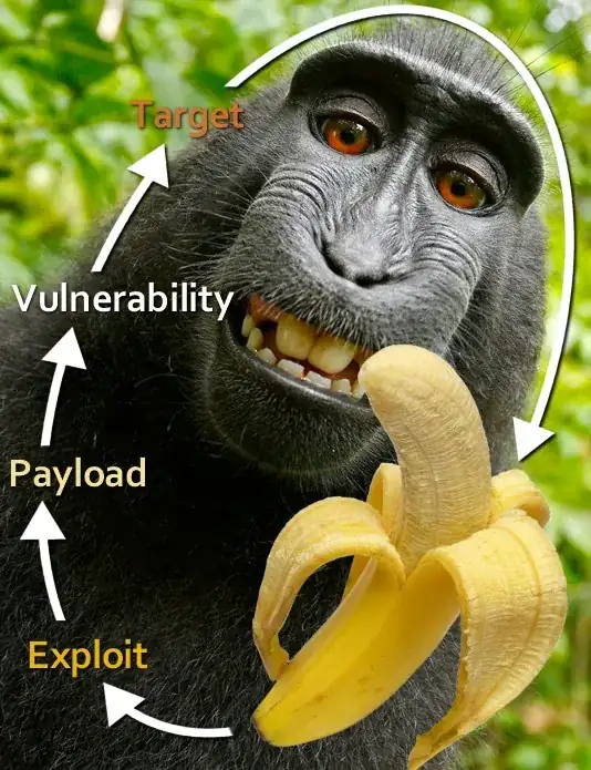 Exploit -> Payload -> Vulnerability -> Target