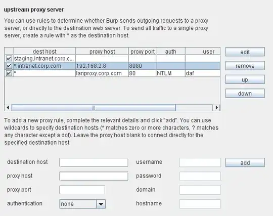 Burp Upstream Proxy Settings