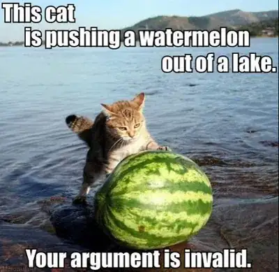 Cat pushing a watermelon out of a lake