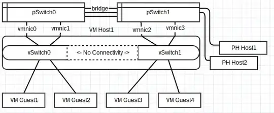 Diagram of VMWare ESXi Network Configuration