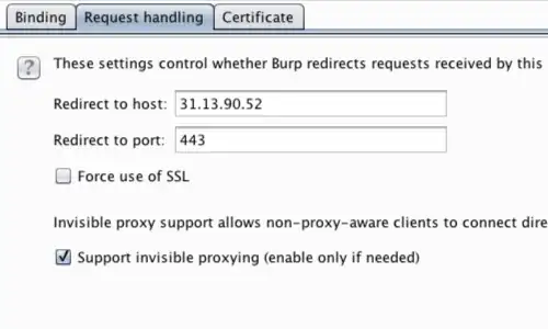 Burp options request handling