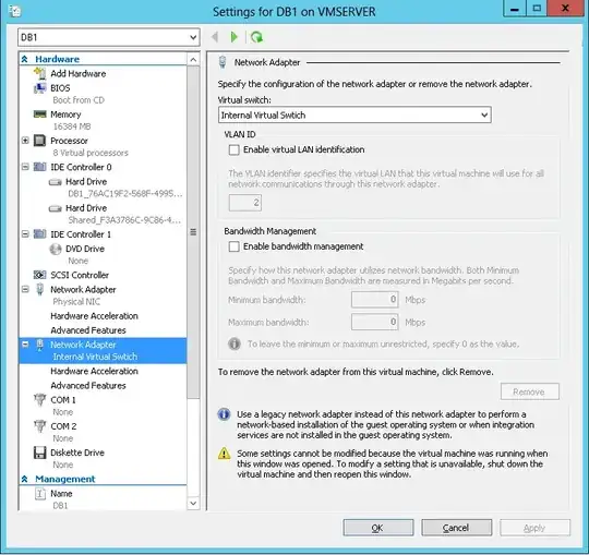 Virtual NIC configuration on the DB VM