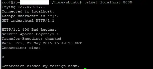 telnet 8080