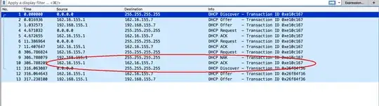 Packet Capture showing the issue