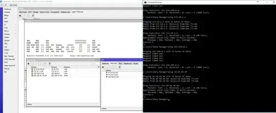 Image showing address assigned to lan interface and ping output