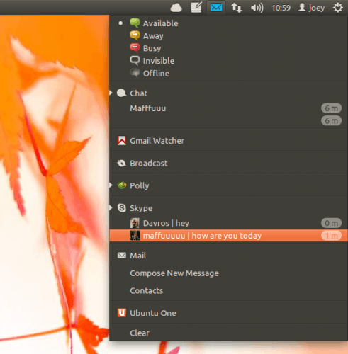 picture of Skype Wrapper from OMGUbuntu