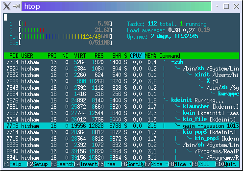 htop screenshot