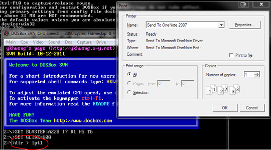 DOSBox Printing