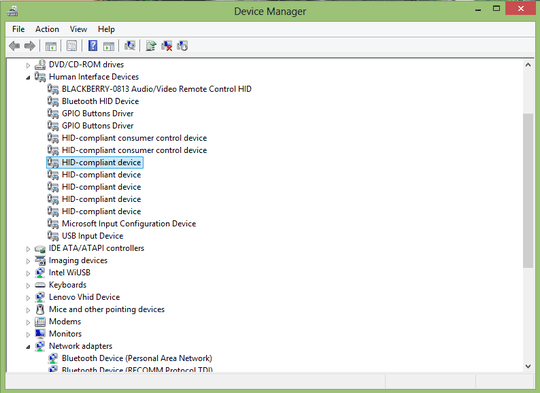A screenshot of the Windows Device Manager, looking at the Human Interface Devices section