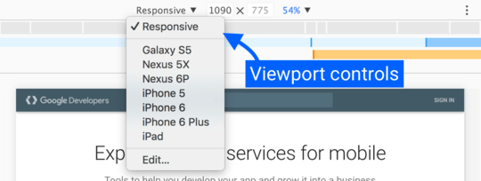 Viewport controls