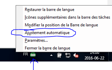 Screenshot of French version of the "auto adjust" setting 