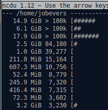 ncdu output