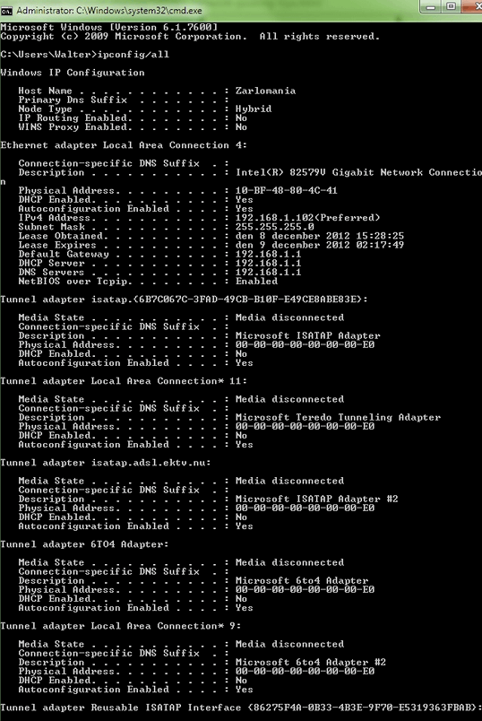 ipconfig output