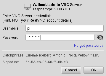 RealVNC login prompt