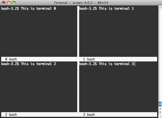 Screenshot of GNU screen with vertical and horizontal splits