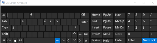 The Windows on-screen keyboard with the keys in a dark grey colour. The <kbd>AltGr</kbd> key and the <kbd>NumLock</kbd> key are both highlighted in blue. In the top row, the € symbol is visible